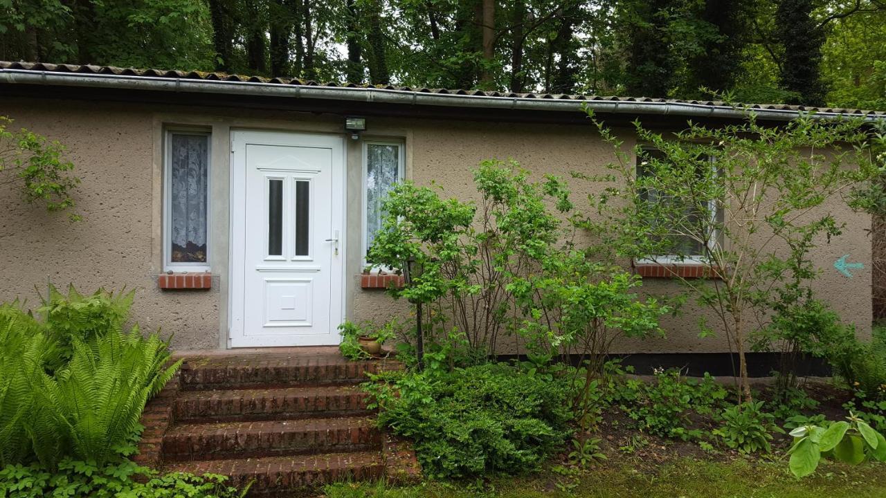 Villa Waldesruh à Zinnowitz Extérieur photo